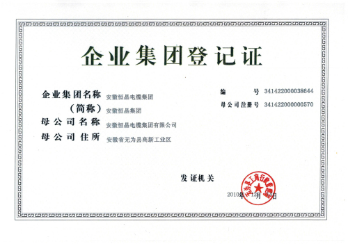 企業(yè)集團登記證